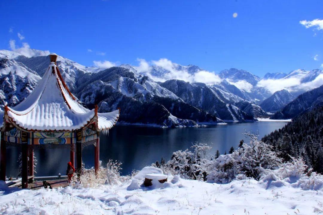 单方面怎么离婚需要什么条件游戏画面